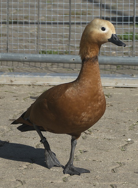 典型案例