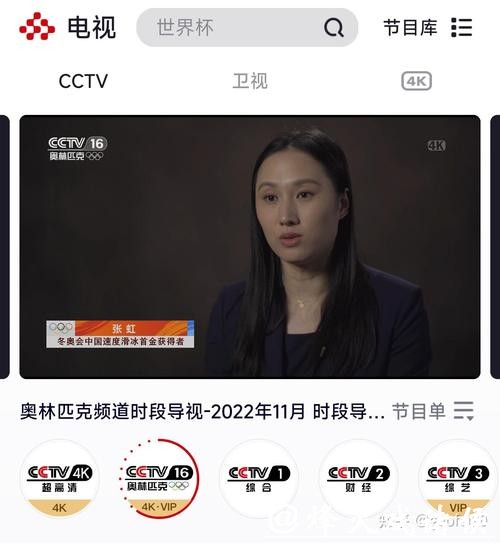 在哪里可以免费观看世界杯直播? 在哪里可以免费观看世界杯直播?